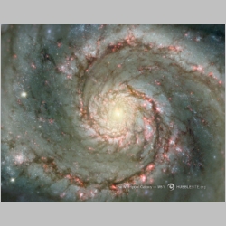 Whirlpool Galaxy